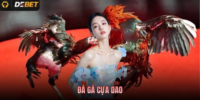 Đá Gà Cựa Dao Là Gì? Luật Chơi Và Cách Theo Dõi Tại Debet